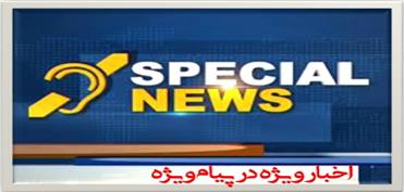 فیبرنوری ناجی جنگلهای ایران می شود فیبرنوری ناجی جنگلهای ایران می شود